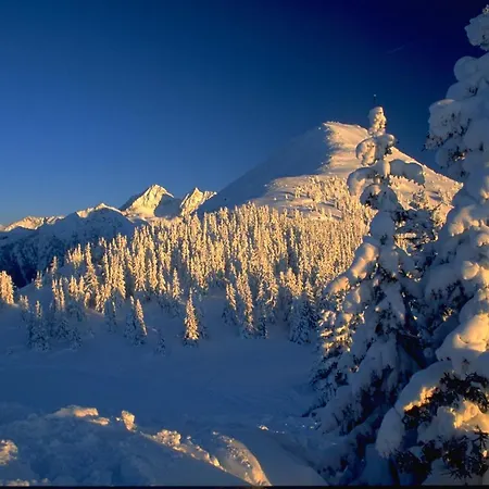 斯拉德明城市之屋公寓 公寓
