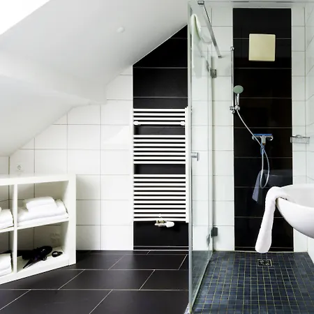 斯拉德明城市之屋公寓 *