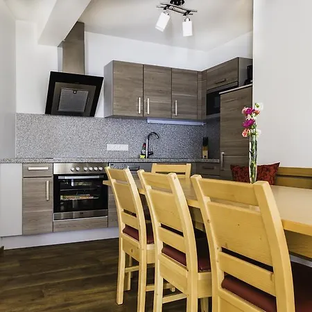 斯拉德明城市之屋公寓 *