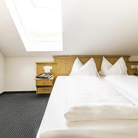 斯拉德明城市之屋公寓 *